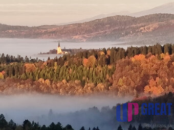 Pozemok NA PREDAJ v obci Uloža (okres Levoča) 1000m2 - 2