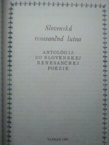 Slovenská renesančná lutna - 2