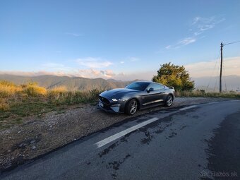 Ford Mustang GT 5.0 V8 FIFTY FIVE YEARS - 2