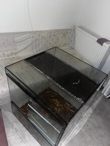 terarium 50x50x50cm - 2