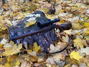 Blaser K95 Stutzen 308win - 2