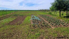 Rodinný dom v obci Lesenice, okr. V. Krtíš - výrazne znížená - 2