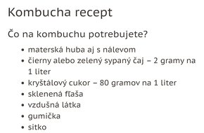 Kombucha materská huba scoby - 2