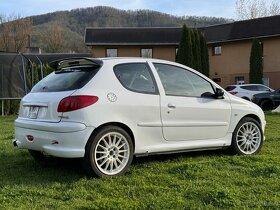 Peugeot 206 RC Rally - 2