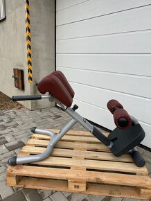 Hyperextenzia Technogym Selection - 2