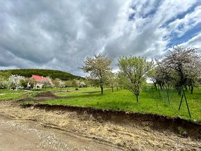 Na predaj priestranný pozemok v obci Drienica - 2