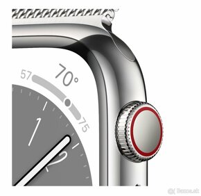 Apple Watch Silver Stainless Steel Case with Silver Milanese - 2