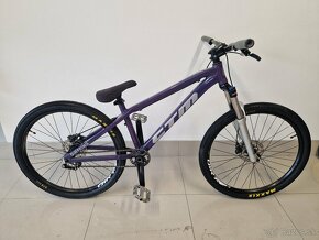 Ctm Dirtking custom - 2