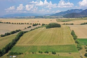 Ponúkame na predaj poľnohospodársky pozemok 141097 m2 v Mošo - 2