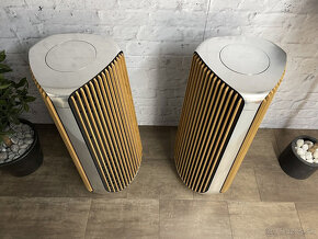 Bang & Olufsen B&O BeoLab 50 - 2