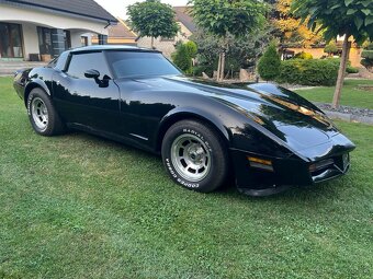 Corvette c3 1981 v8 - 2