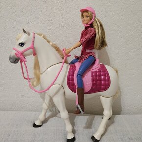 Mattel Barbie Kôň snov - 2