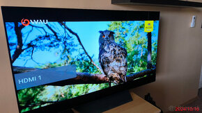 TV LG - OLED 55B13LA - 2