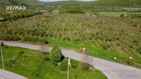 Predaj vinica Vajnory - polovičný podiel - 2