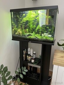 AquaEl Leddy DAY&NIGHT 60 XL akvariový set 72 l + stojan - 2