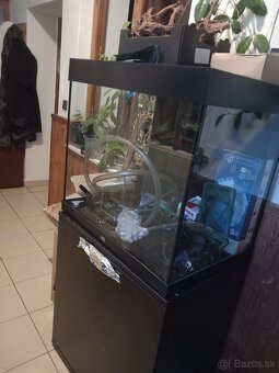 Predam.aquarium 250l juwel - 2