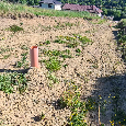 Pozemok na výstavbu Rodinného domu - BARDEJOVSKÉ KÚPELE - 2