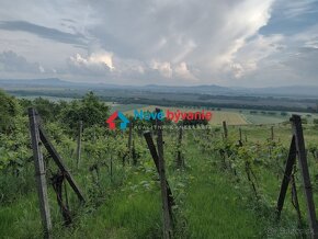 Predaj, vinica, viničný dom - Belá(N070-14-FRAD) - 2