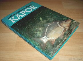 Kapor - 2