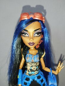 Monster High Robecca Steam - 2