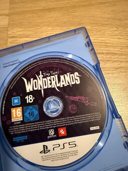 Tiny Tina's Wonderlands (Next-Level Edition) [PS5] - 2