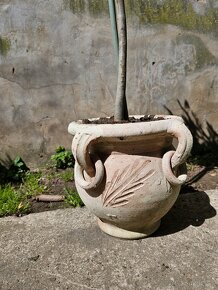 Oliva-olivovnik v keramike - 2