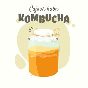 Kombucha čajová huba - SCOBY - 2