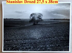 Stanislav Drozd - z cyklu Slezská krajina. Veľký strom. - 2