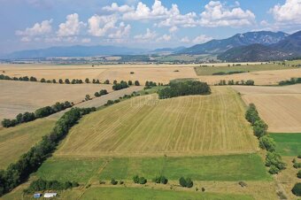 Ponúkame na predaj poľnohospodársky pozemok 141097 m2 v Mošo - 2