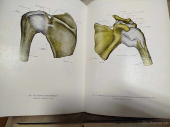 Atlas anatómie človeka I, II, III diel--1975-Kiss Ferenc, Sz - 2