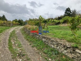 ZÁHRADA s možnosťou stavby chatkoy na PREDAJ - Modra, lokali - 2