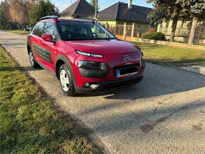 C4 cactus - 2