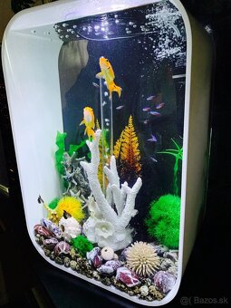 Aquarium - 2