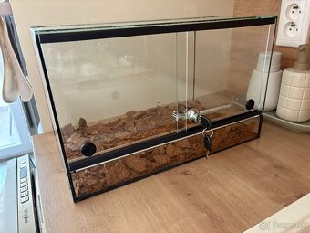 Predam Terarium 40x25x25 - 2