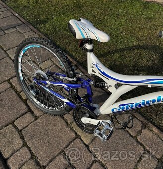 Capriolo CTX 240 bicykel - 2