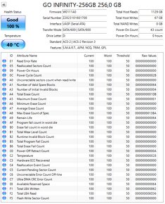 2,5" SSD GO Infinity / PNY / Goldenfir 250GB - 2