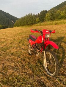 HONDA XL 600 R - PREDAM - 2