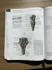 Sobota:atlas of human Anatomy - 2