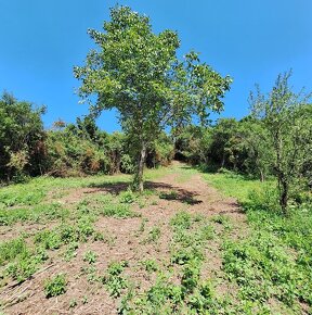 Rekreačný pozemok Jablonov nad Turňou (386m2) - 2