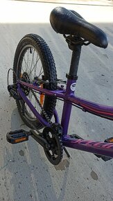 Specialized Hot Rock 20 - 2