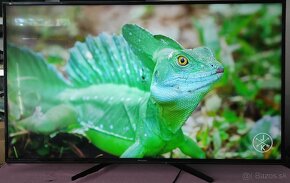 Predám 4KUHD SMART TV Panasonic TX-55EX603E (140cm) - 2