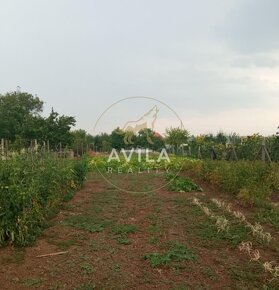 NA PREDAJ: stavebný pozemok 1962m2 s menším RD - Šoporňa - 2