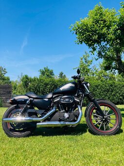 Harley Davidson Sportster Iron - 2