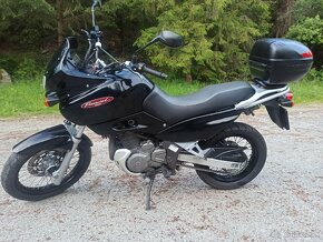 Suzuki xf 650 freewind - 2