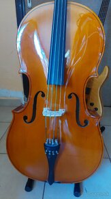 České violončelo 1/2 - 2