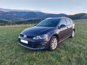 Volkswagen Golf VII 2,0 Tdi Variant - 2