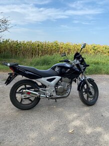 Honda 250 cbf - 2