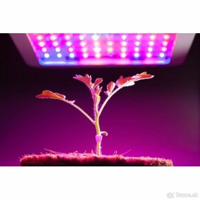 UV LED panel pre rastliny 45W - 2