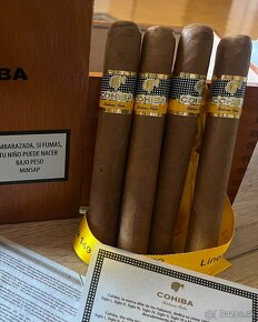 Cigary Cohiba Robustos - 2