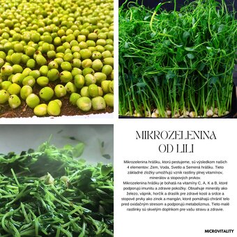 Mikrogreens, Mikrozelenina, DOPRAVA ZDARMA - 2